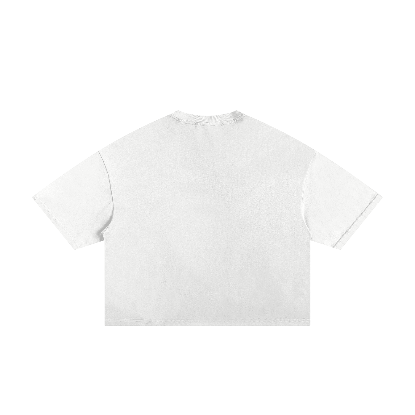 Hoc est fragmen vestimenta (This is just a piece of clothes)